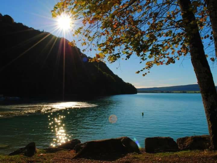Marigny  Maison/Gite Familial Dans Le Jura A 200M Du Lac Avec Piscine Privee מראה חיצוני תמונה