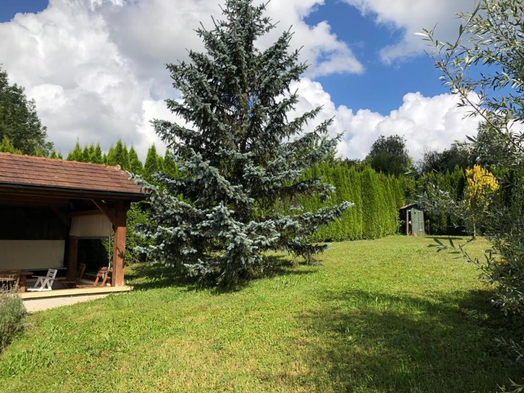 Marigny  Maison/Gite Familial Dans Le Jura A 200M Du Lac Avec Piscine Privee מראה חיצוני תמונה