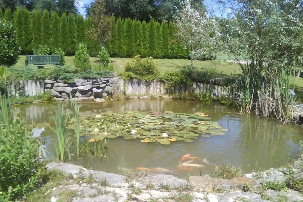 Marigny  Maison/Gite Familial Dans Le Jura A 200M Du Lac Avec Piscine Privee מראה חיצוני תמונה