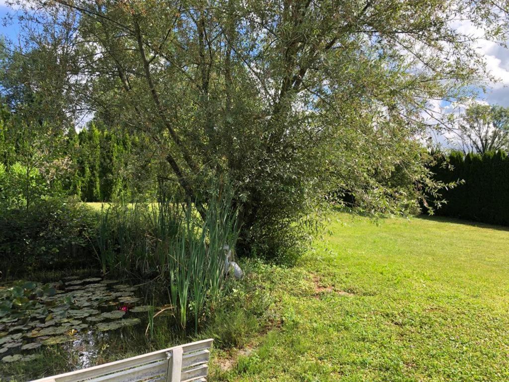 Marigny  Maison/Gite Familial Dans Le Jura A 200M Du Lac Avec Piscine Privee מראה חיצוני תמונה