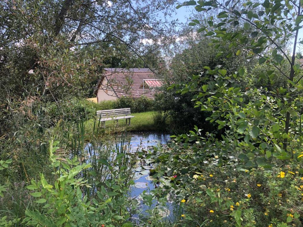 Marigny  Maison/Gite Familial Dans Le Jura A 200M Du Lac Avec Piscine Privee מראה חיצוני תמונה